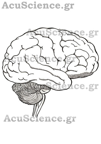 Bελονισμός και Εγκέφαλος Acuscience.gr
